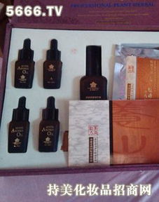 景鸿化妆品与箱包 产品特色、加盟店前景全解析